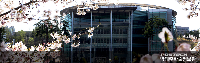 college_logo