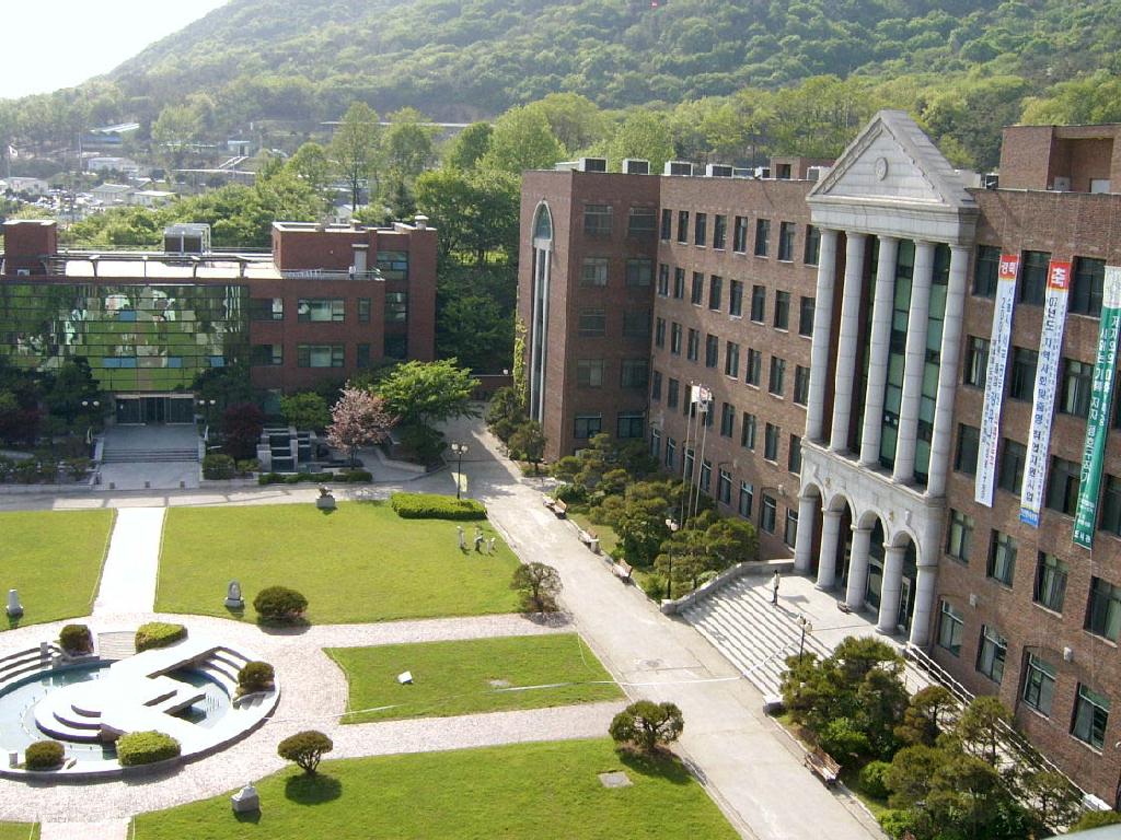 university