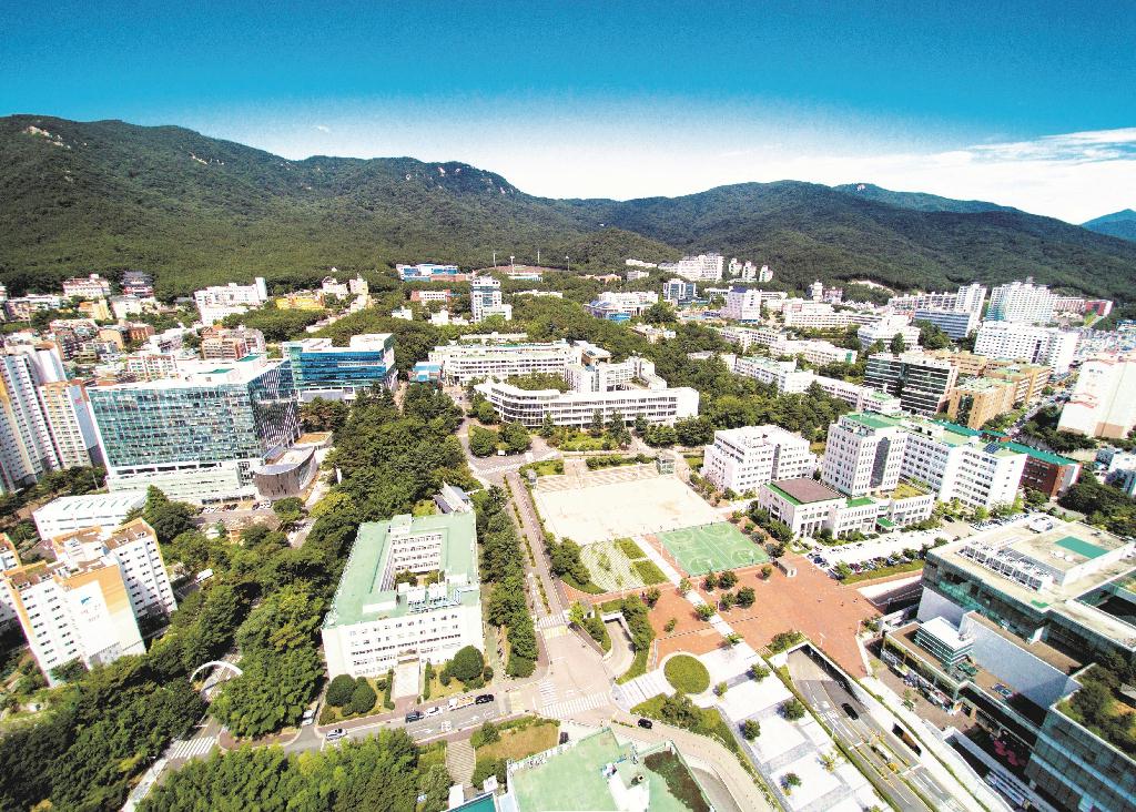 university
