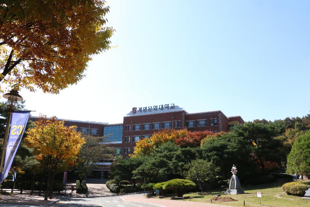university