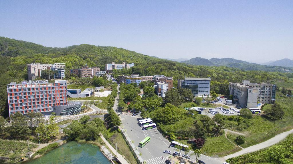 university