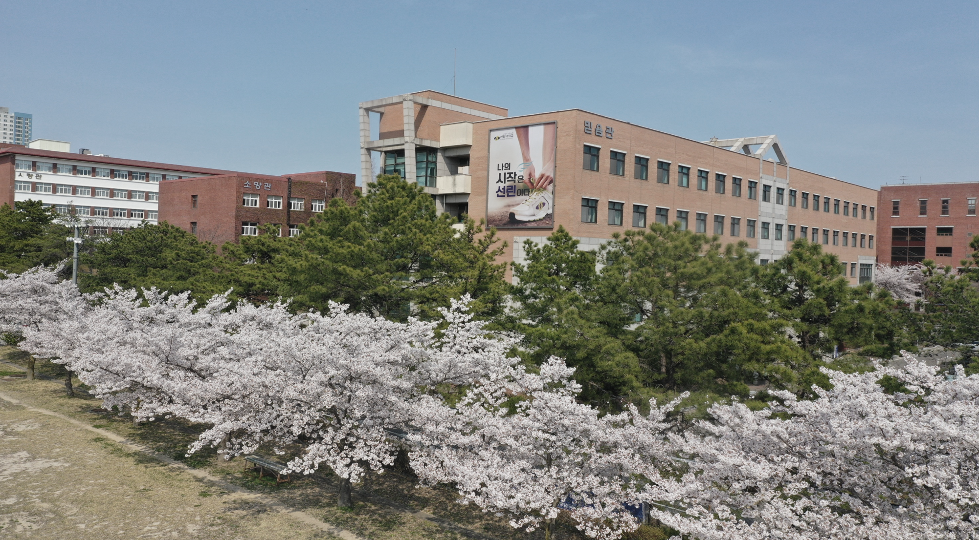 선린대학교 전경