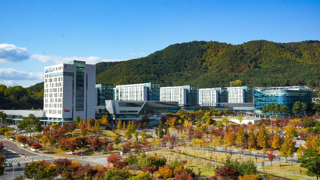 university