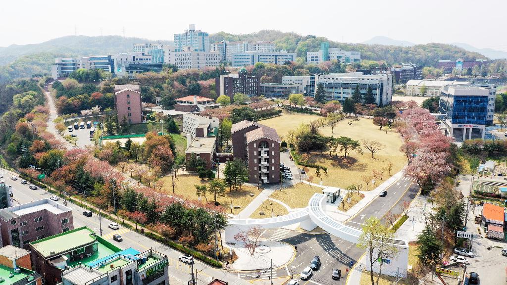 university