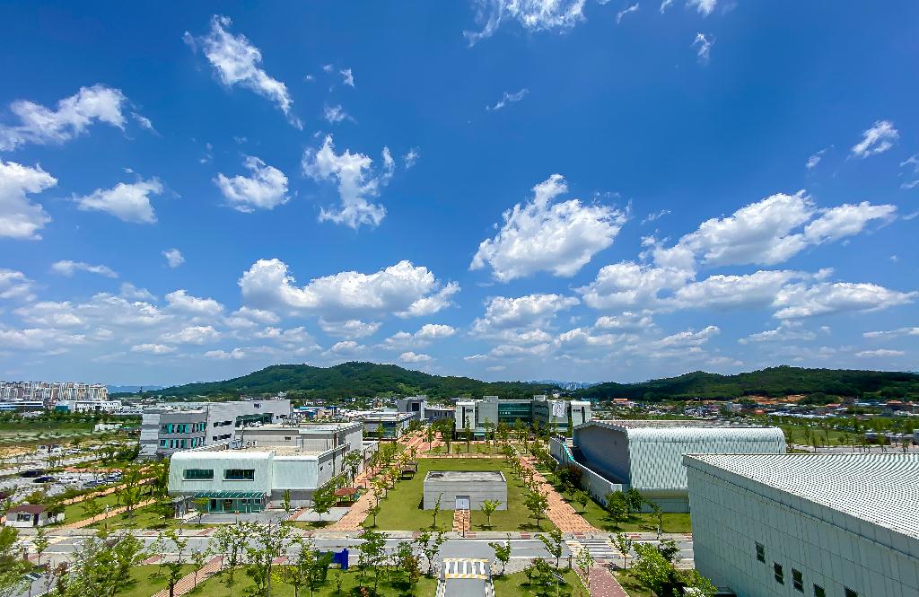 university