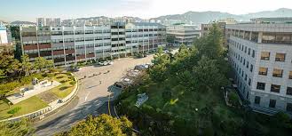 동강대학교 전경