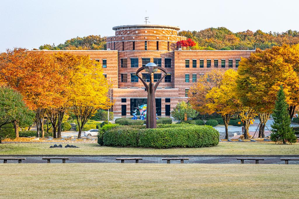 university
