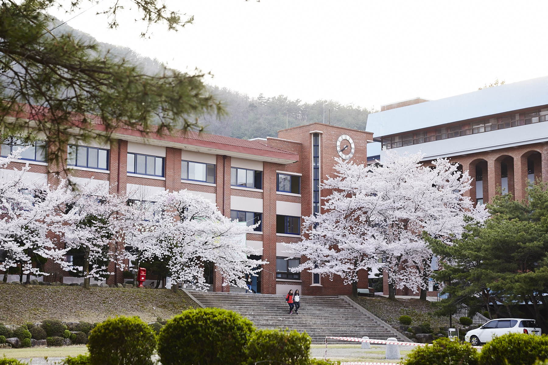 신경주대학교 전경